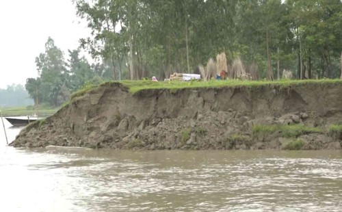 কুড়িগ্রামে তিস্তার ভাঙ্গনের কবলে শতাধিক গৃহহীন পরিবার