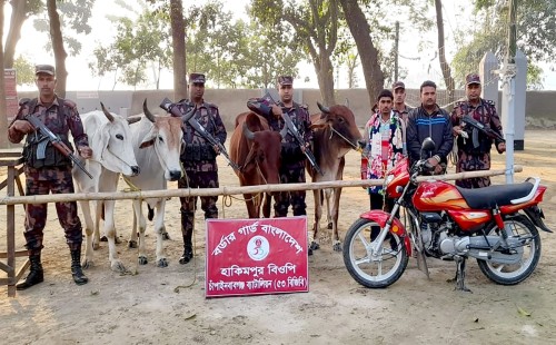 চাঁপাইনবাবগঞ্জ মহানন্দা ব্যাটালিয়ন ৫৩ বিজিবির অভিযানে মোটরসাইকেল ও মোবাইলসহ আটক ২