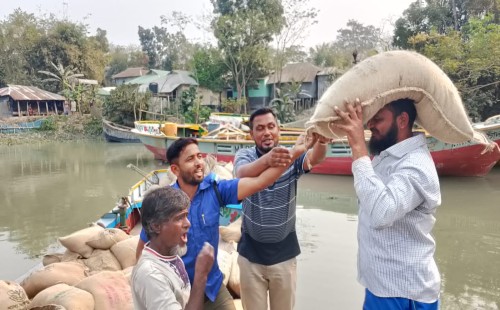 গোলখালী ইউনিয়নে চার মাসের ভিজিডি চাল বিতরণ শুরু, প্রথম পর্যায়ে ১১৩ জন পেলেন ১২০ কেজি করে চাল